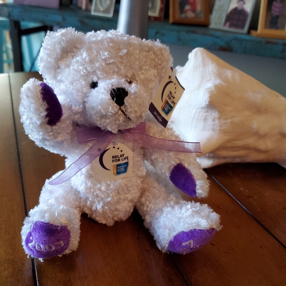 Relay For Life 2003 Edition "Caregiver" Relay Bear